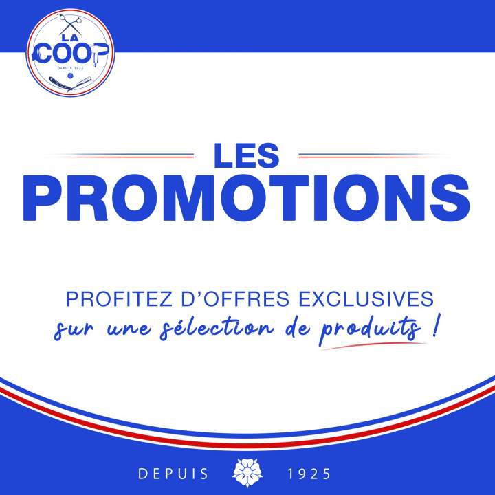 Les PROMOTIONS